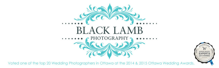 Black Lamb Photography